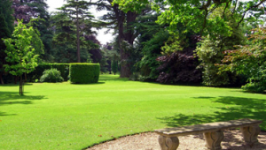 valorizzazione-aree-verdi